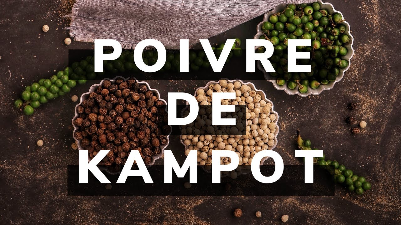 Poivre de Kampot : Découvrez le meilleur poivre du monde !