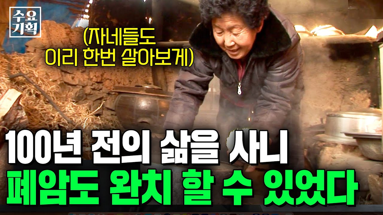 시골 외딴 집에서 집을 짓고 100년 전의 삶을 사니 폐암도 말기도 완치한 가족이 있다? [수요기획] | KBS 060125