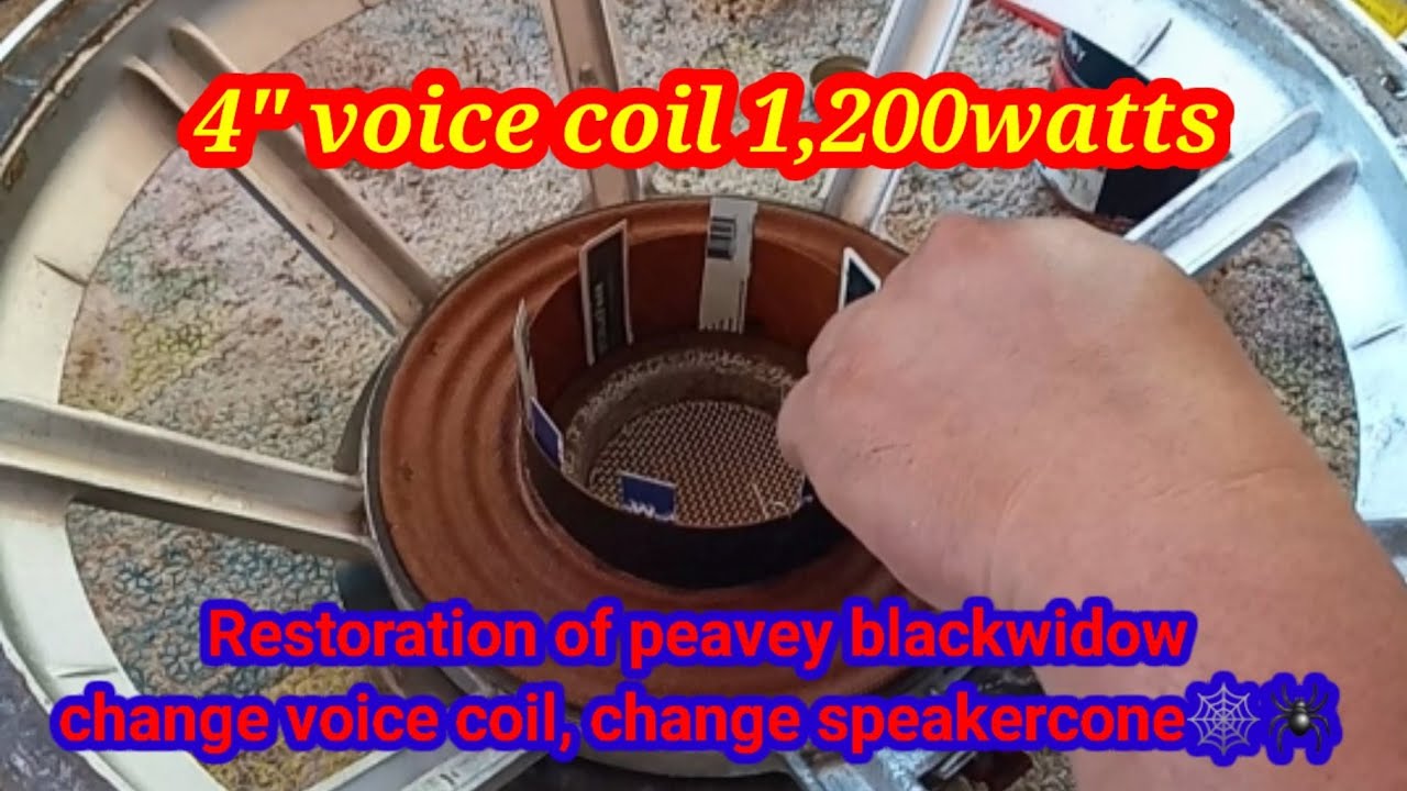 Speaker repair 15