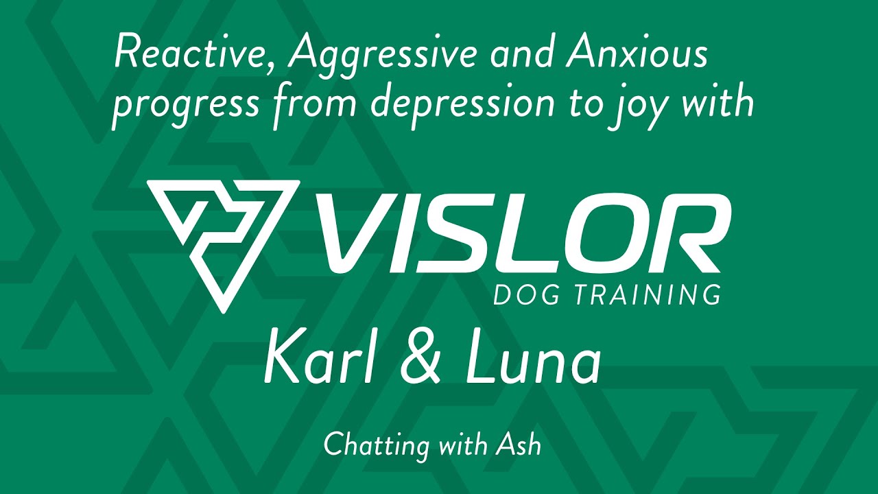 Reactive GSD Luna and Karl's Journey with Vislor Dog Training