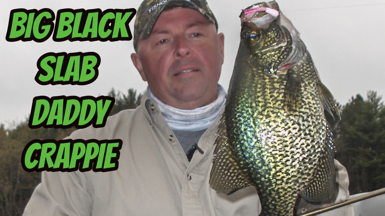 Big, Black Slab Daddy Crappie