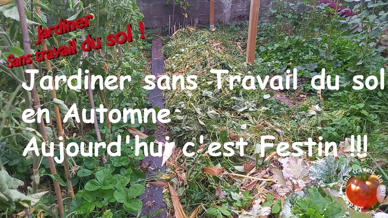 Jardiner sans travail du sol en Automne ! Aujourd'hui c'est festin !!!