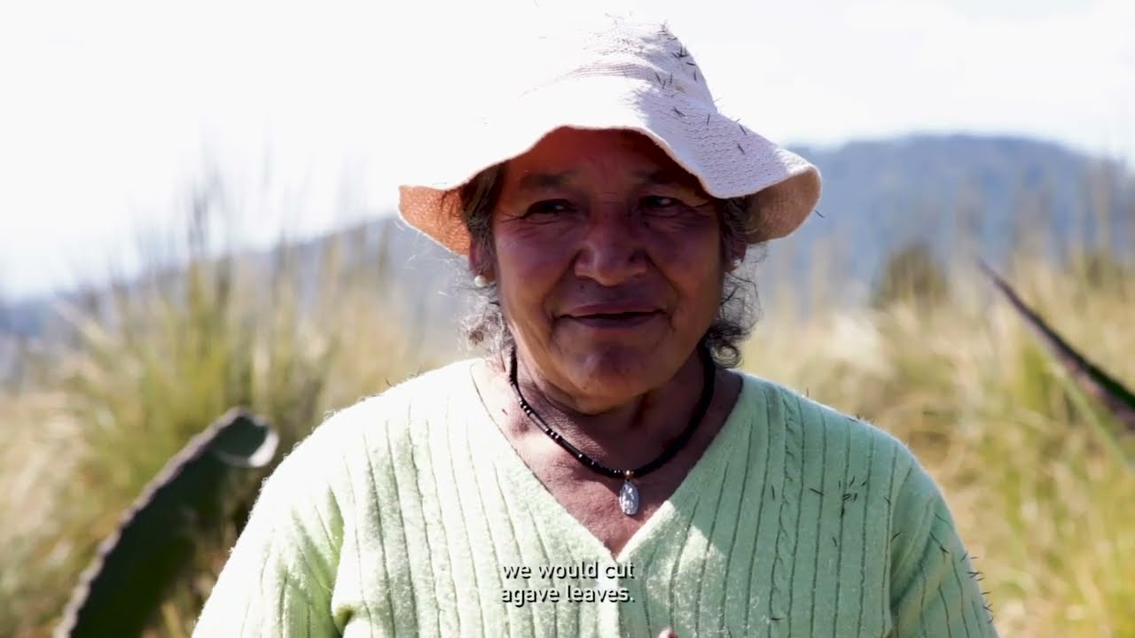 Xänthe Dehe Water Forest/Bosque de Agua. Director Adrián Arce