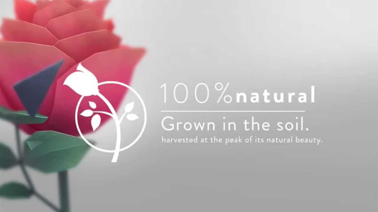 Advantages you get from a verdissimo flower