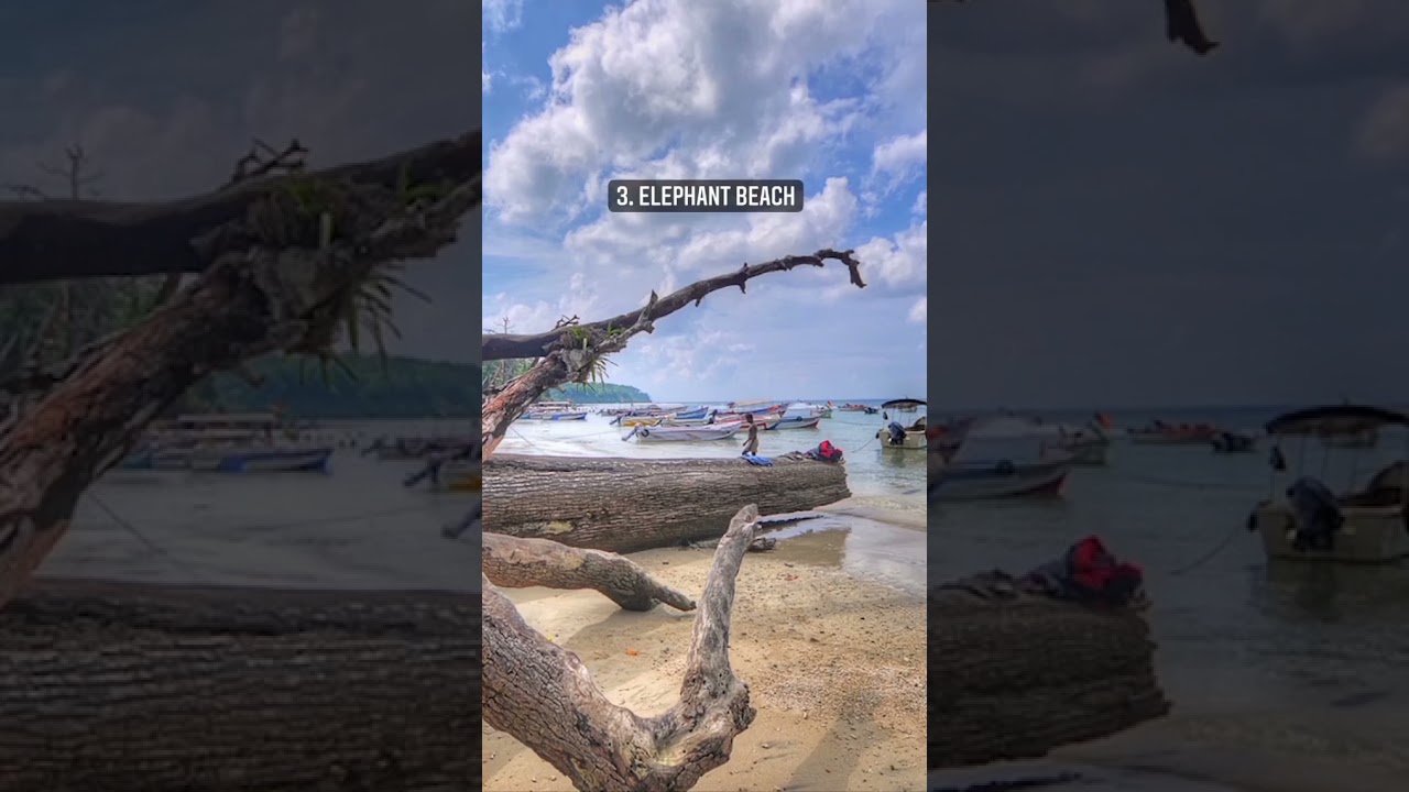 5 Must Visit Places In Andaman