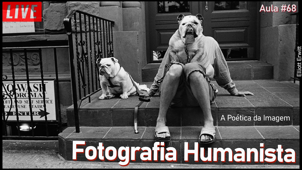 Fotografia HUMANISTA _ O Realismo Poético dessa Escola Francesa que mudou o mundo  _ LIVE #68