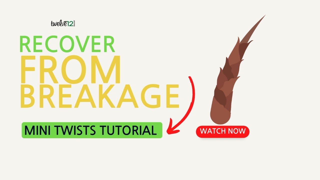 Recover from hair breakage: Mini Twist Edition