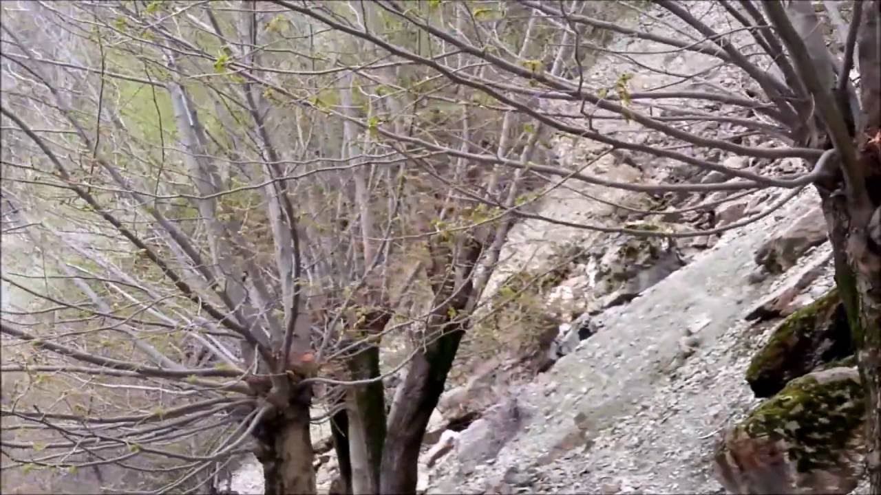 Ёгед. Yoged .Сайру гашти джуйборои Ёгед