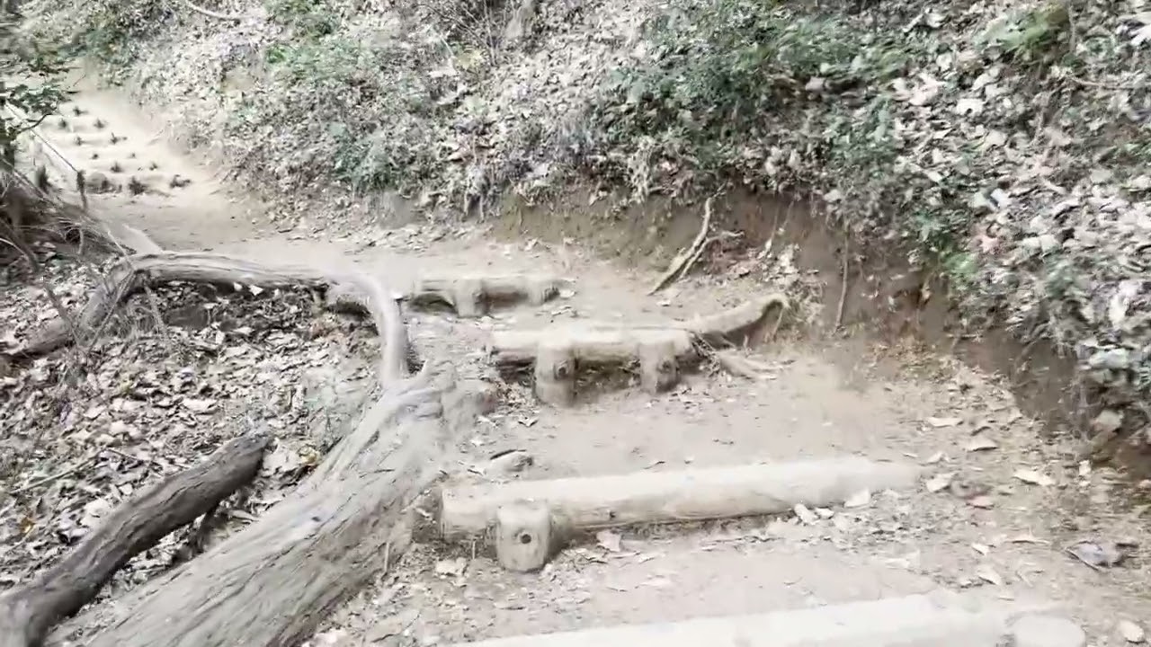 Tokyo’s Most Popular Hike? | Mount Takao Full Trail #pov #hike #trail #scenic #views #nature #tokyo