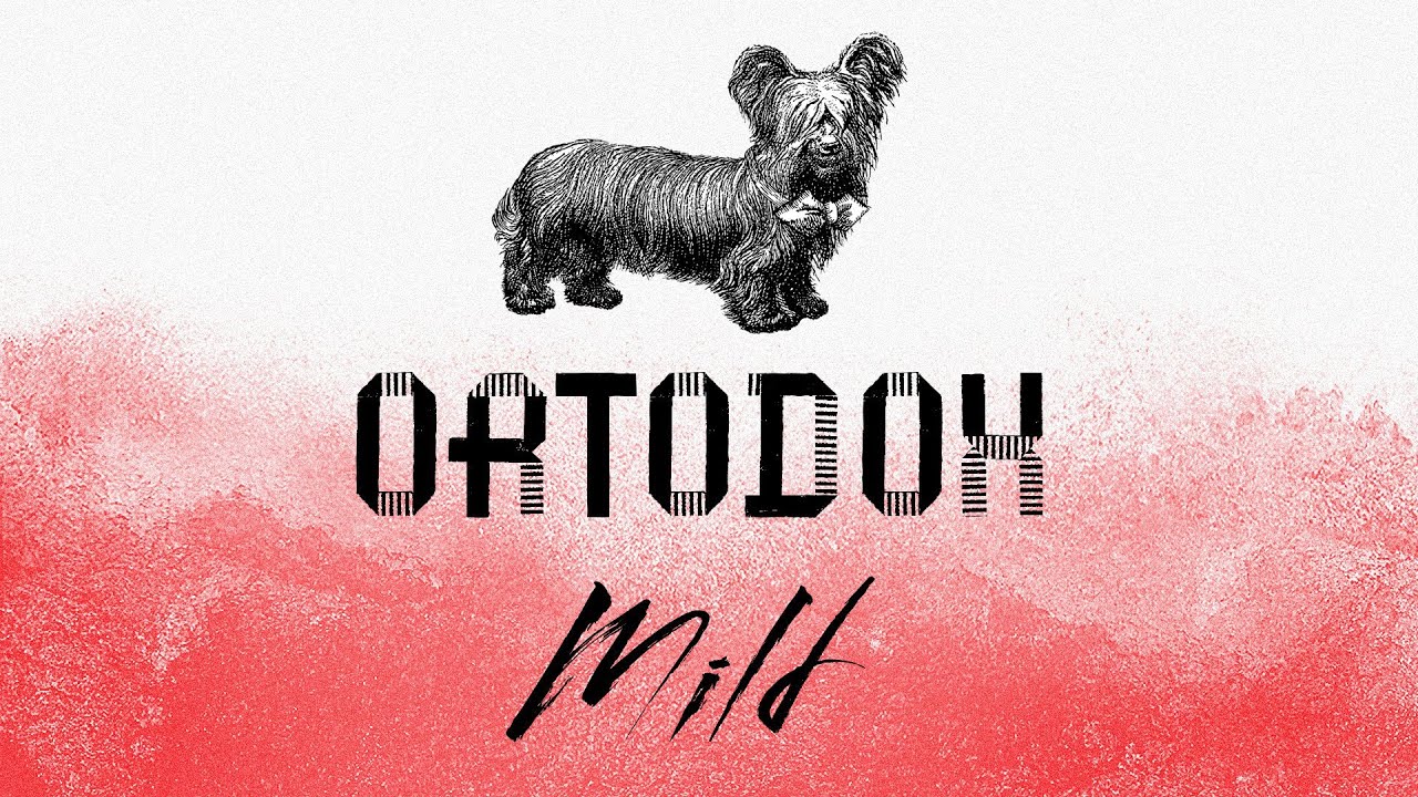 Ortodox Mild - pierwsza degustacja