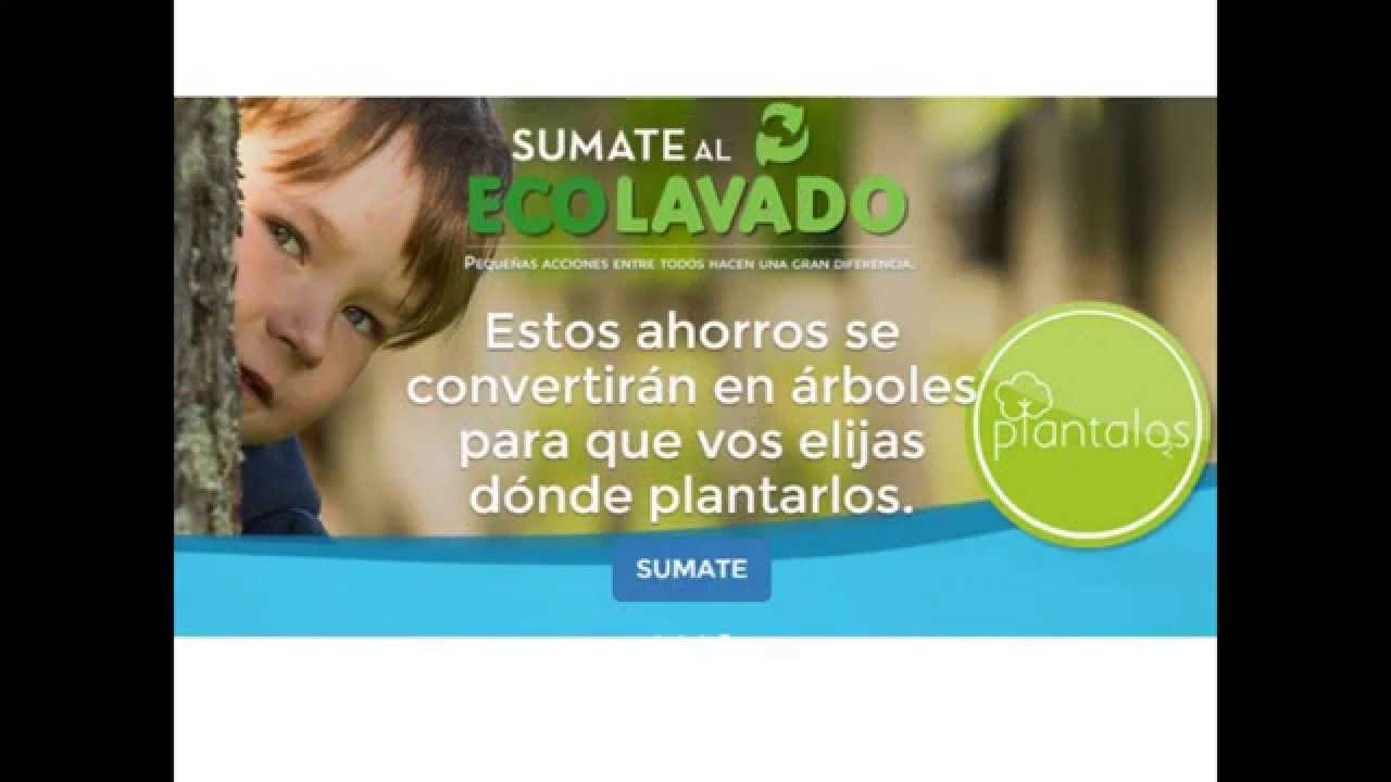 ECOLAVADO