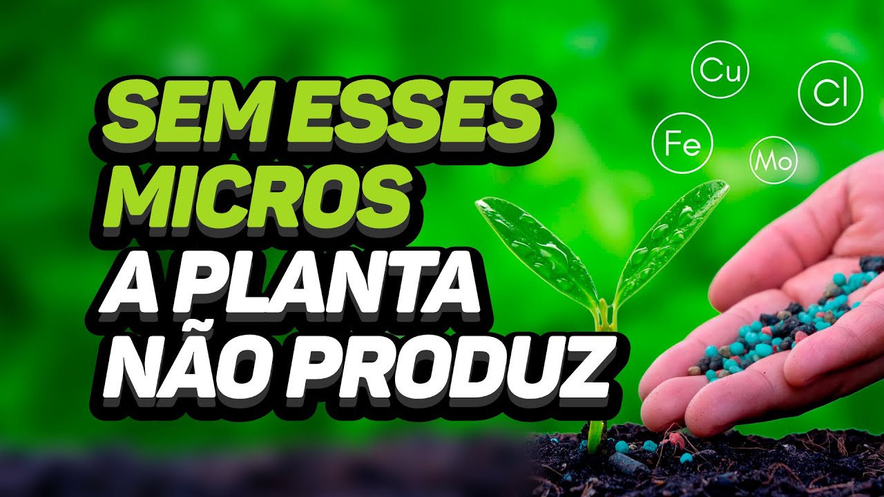 SEM ESSES MICRONUTRIENTES A PLANTA NÃO PRODUZ