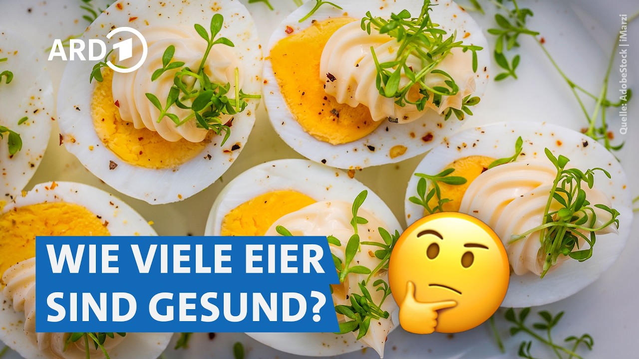 Eier: bewusster Genuss und nachhaltige Geflügelhaltung | Marktcheck SWR