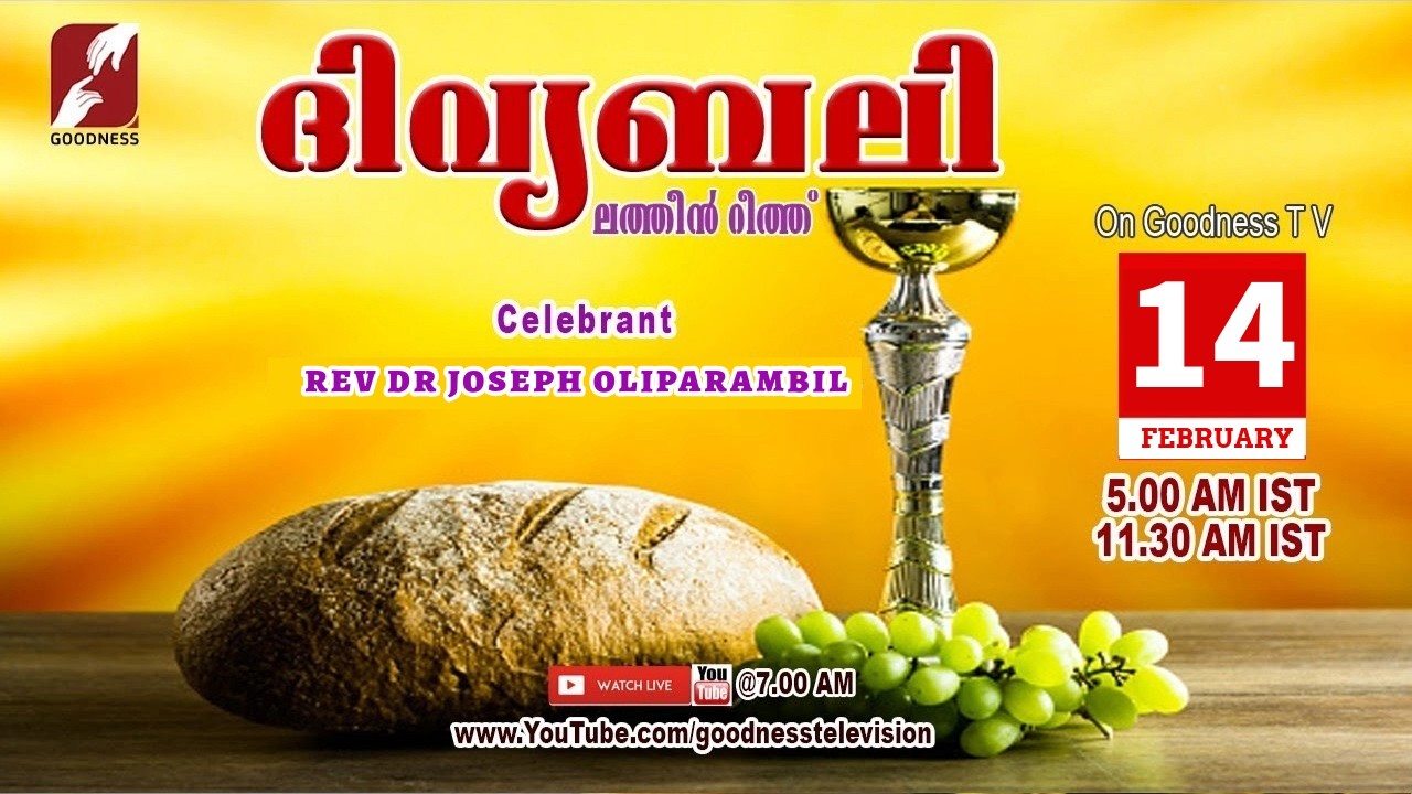 HOLY MASS|LATIN MASS| 14 FEB 2026 |DR JOSEPH OLIPARAMBIL|MALAYALAM QURBANA|TODAY MASS|GOODNESS TV