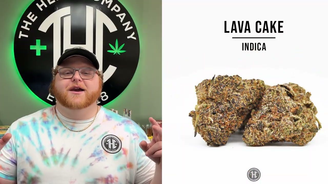 Обзор сорта Lava Cake: взрыв расслабления.