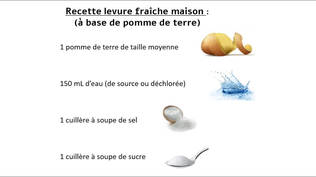 COMMENT FAIRE SA LEVURE DE BOULANGER FRA&Icirc;CHE MAISON | FACILE