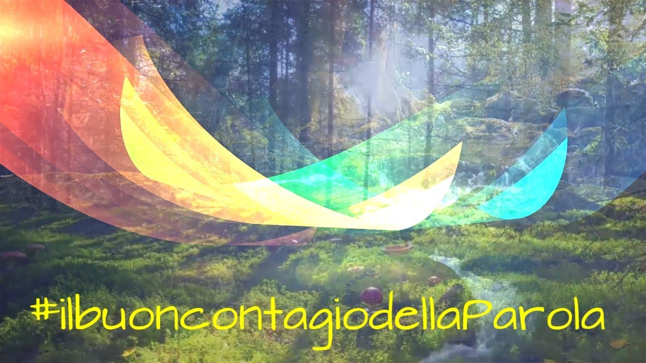 Domenica 14 settembre 2025 - Esaltazione della Santa Croce - La logica paradossale dell'amore.