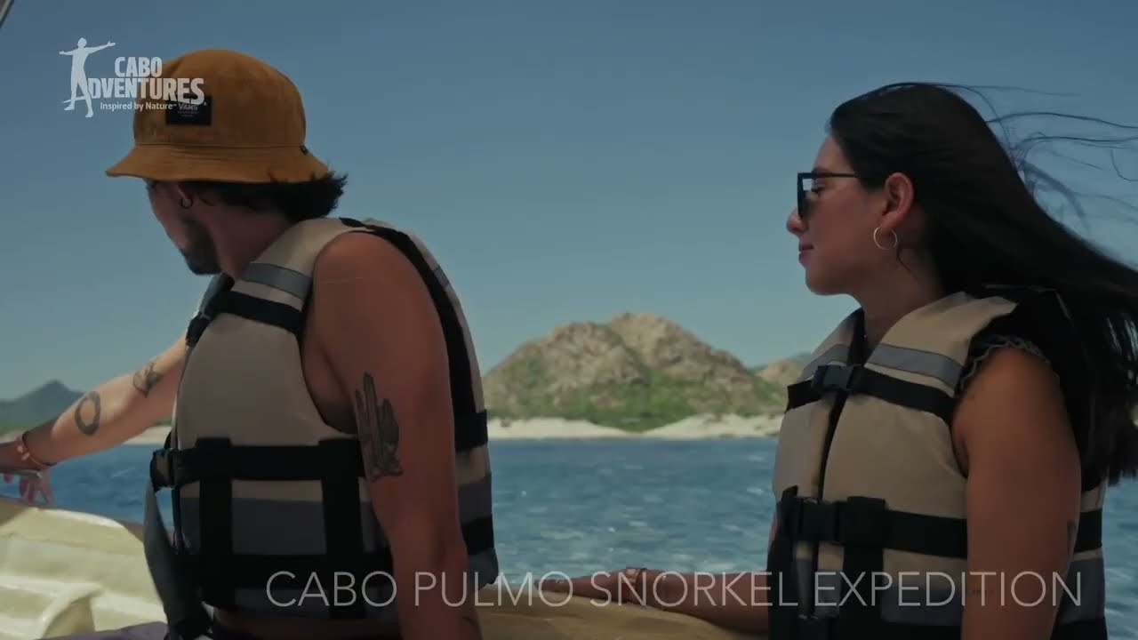 Snorkel in Cabo Pulmo: The Aquarium of the World  | Cabo Adventures