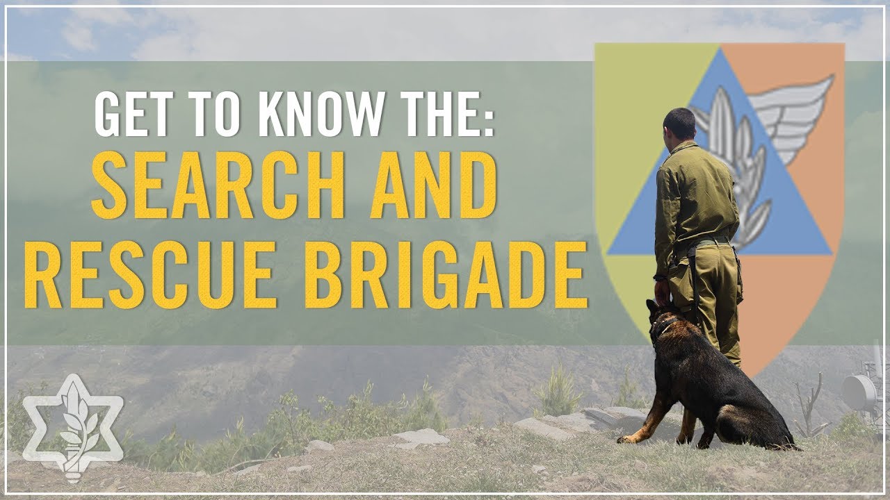 Get to Know the Search and Rescue Brigade
