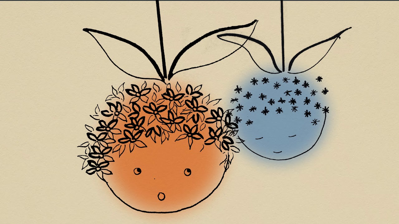 Avance - Las dos naranjas de Edith Vera