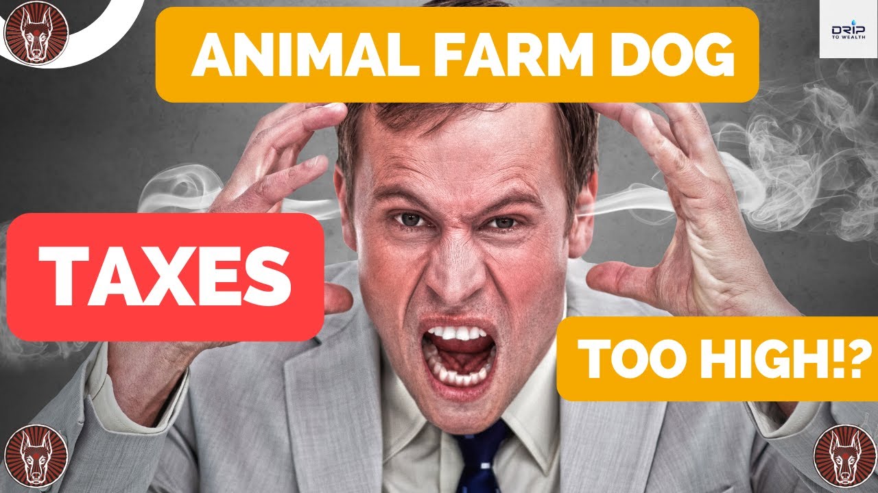 Drip Network:  The Animal Farm Dog ($AFD) Taxes are too HIGH!? 🤯🤑 #drip #crypto #defi #btc