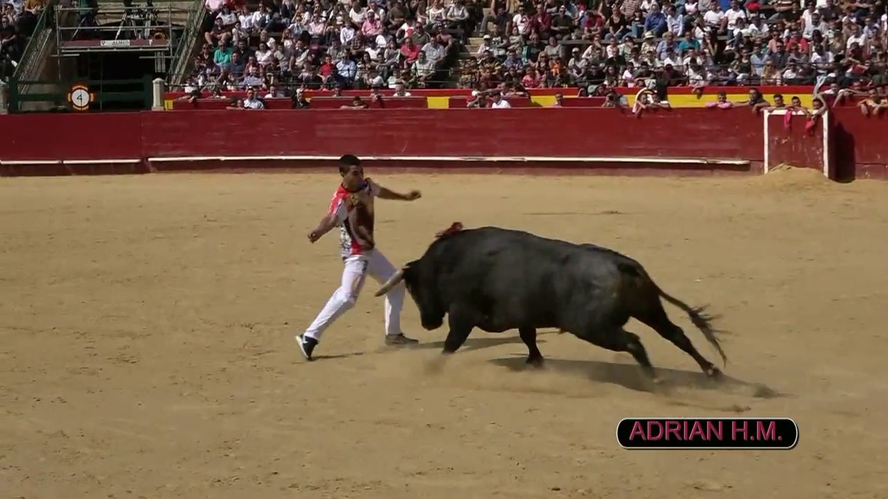 Valencia 9-10-2018 Videoclip Resumen Concurso de Recortes