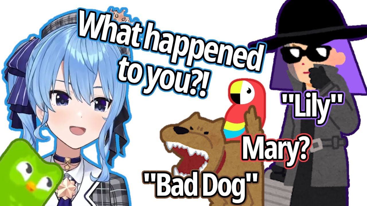 Suisei Is Shocked By Lily's Voice and Troublesome Pets [Hololive/ENG SUB/Duolingo]