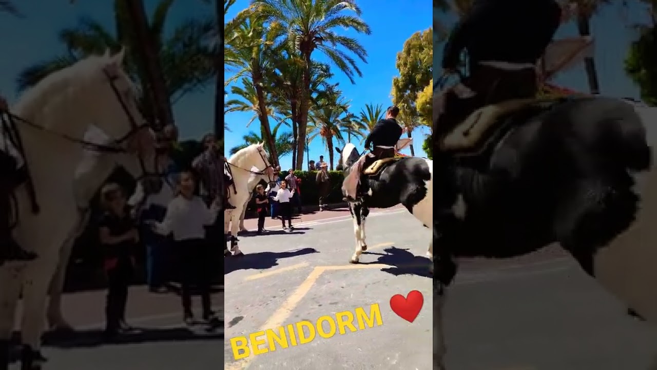 BENIDORM LOVERS 🇪🇦❤️💛