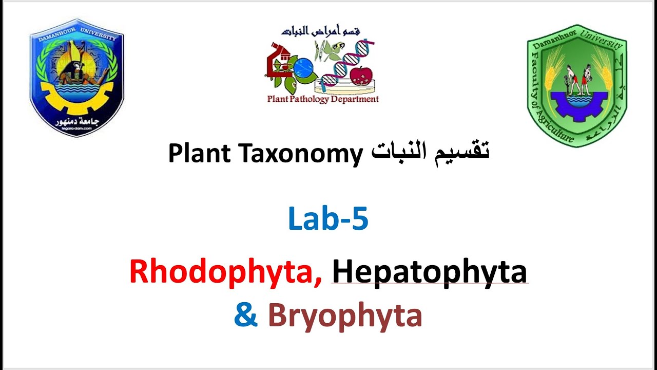 Section 5 Plant Taxonomy - Rhodophyta, Hepatophyta & Bryophyta