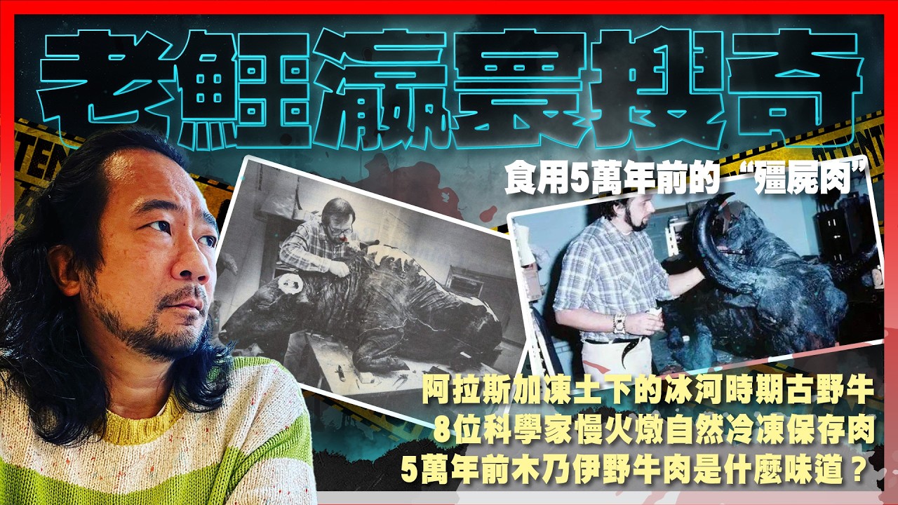 【老鱷瀛寰搜奇】EP24 食用5萬年前的“殭屍肉”! 阿拉斯加凍土下的冰河時期古野牛，8位科學家享用慢火燉自然冷凍保存肉，勇敢定戇居？5萬年前木乃伊野牛肉是什麼味道？凍土裏冰封從未接觸過的史前微生物！