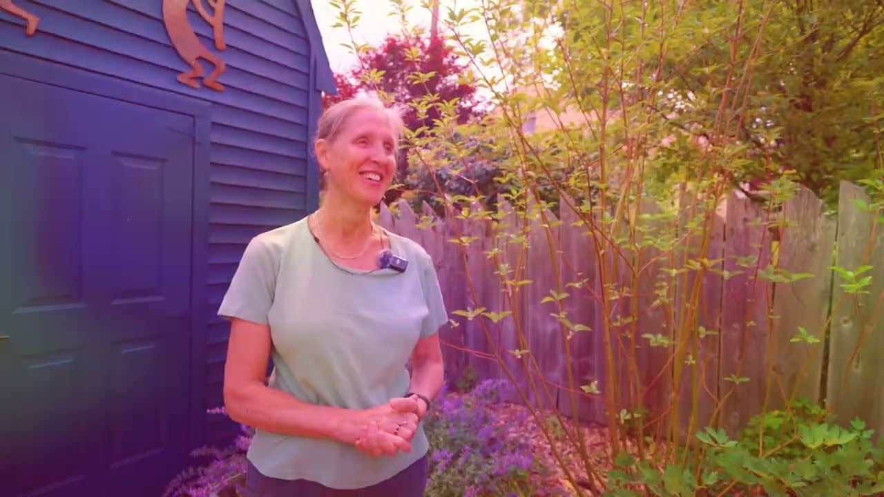 Backyards To Bedrock Gardens Promo | Windows to the Wild