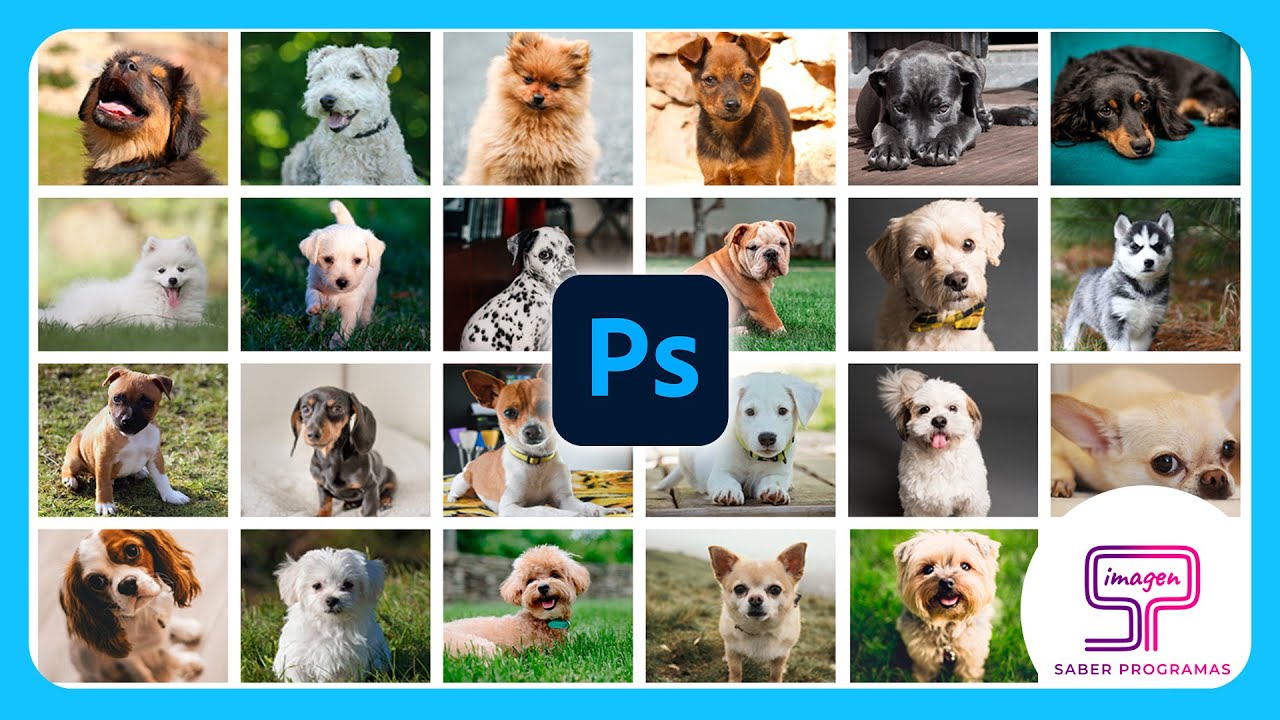 Descubre el SECRETO para Crear COLLAGES Automáticos en Photoshop 💥