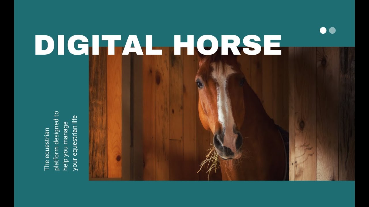 Introducing | Digital Horse