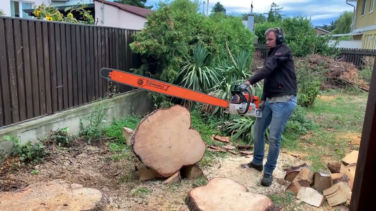 STIHL MS881 - BIG, BIGGER, 150cm!
