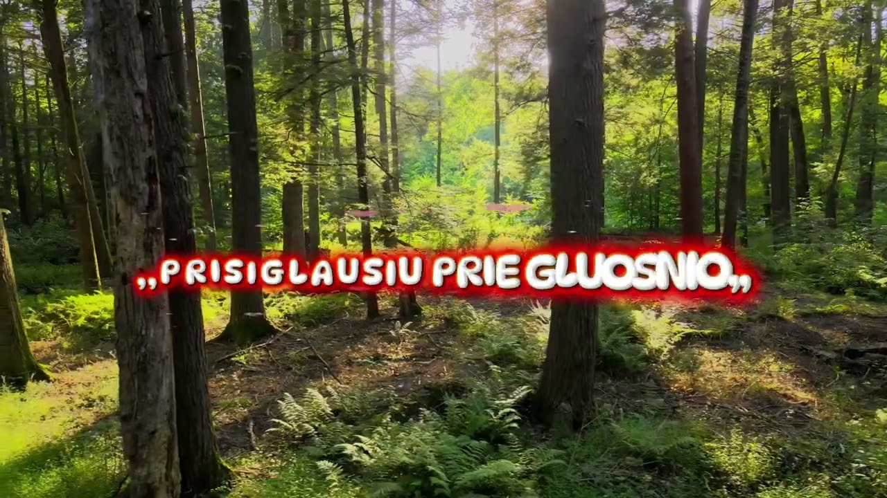 ,,PRISIGLAUSIU PRIE GLUOSNIO,,
