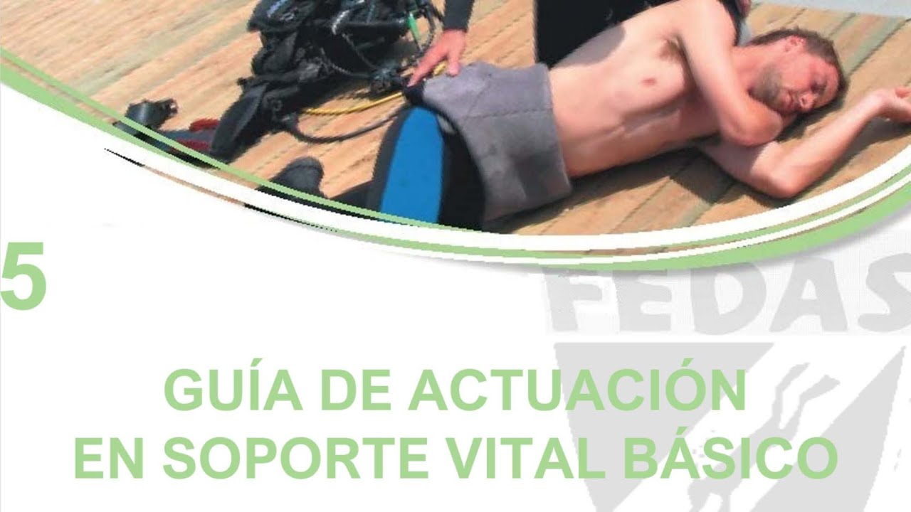 Soporte Vital Básico (FEDAS): 5. GUÍA DE ACTUACIÓN EN SOPORTE VITAL BÁSICO