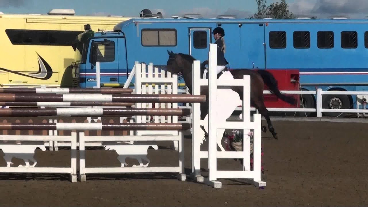 Cybel 6 years old class Arena UK Festival of Show jumping 2014