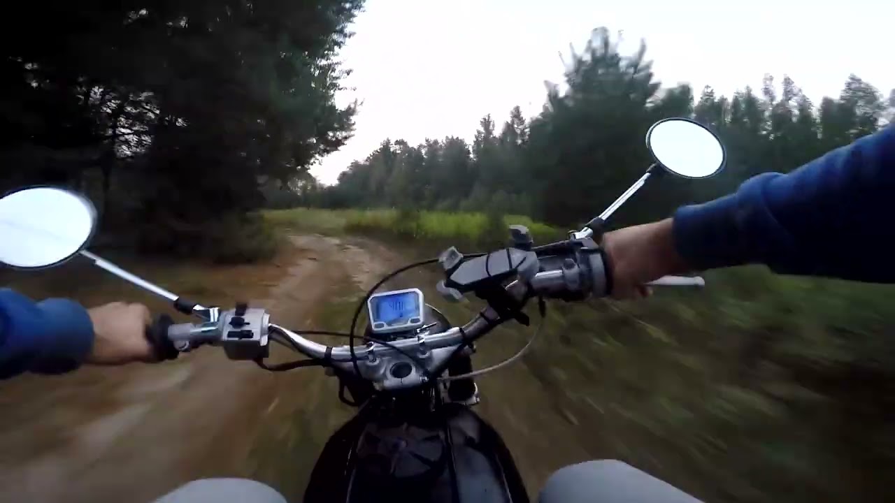 Gdzieś tam w lesie 2 - WSK