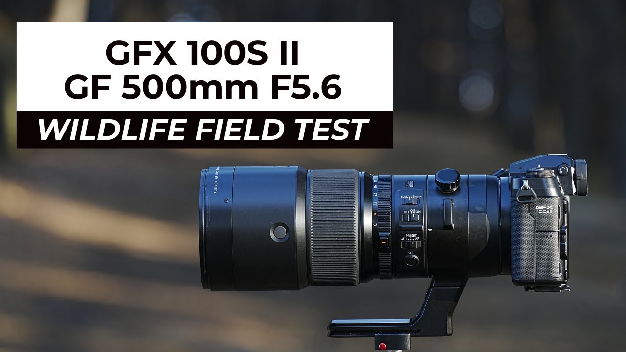 Wildlife with a Medium Format camera? Yes we can!