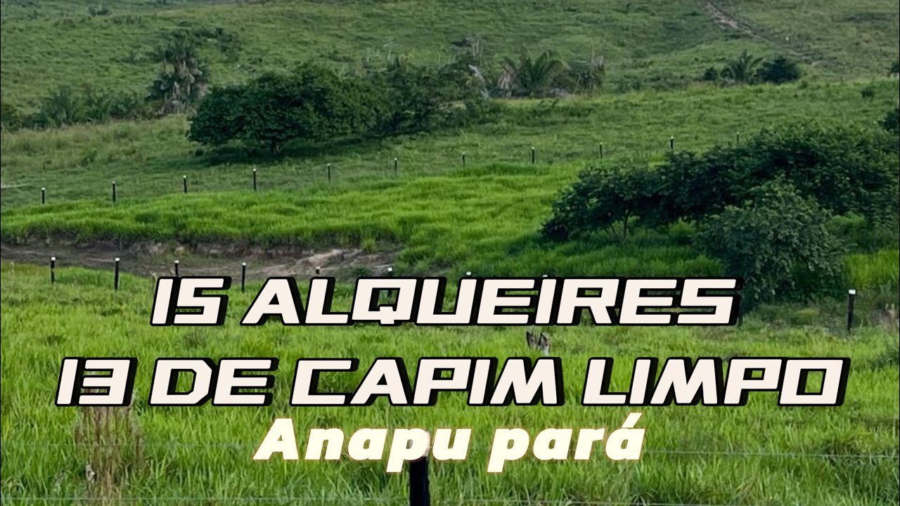 VENDIDA❌❌❌ Sítio de 15 alqueires na região de Anapu pá ! Coisa de luxo ! Confiram o vídeo 😳😱.