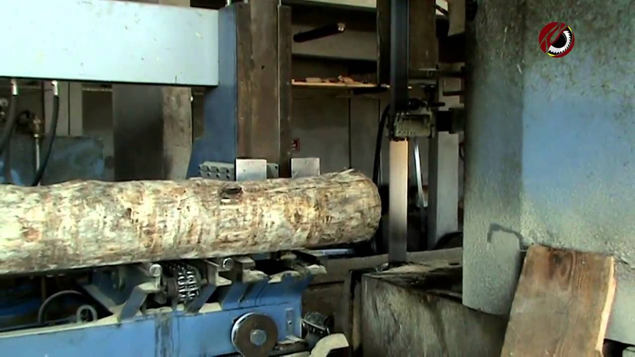 Kereste Fabrikası Ekipmanları RULMAK. Çam Ağacı Tomruğu Kesimi İçin Otomatik Hatları
