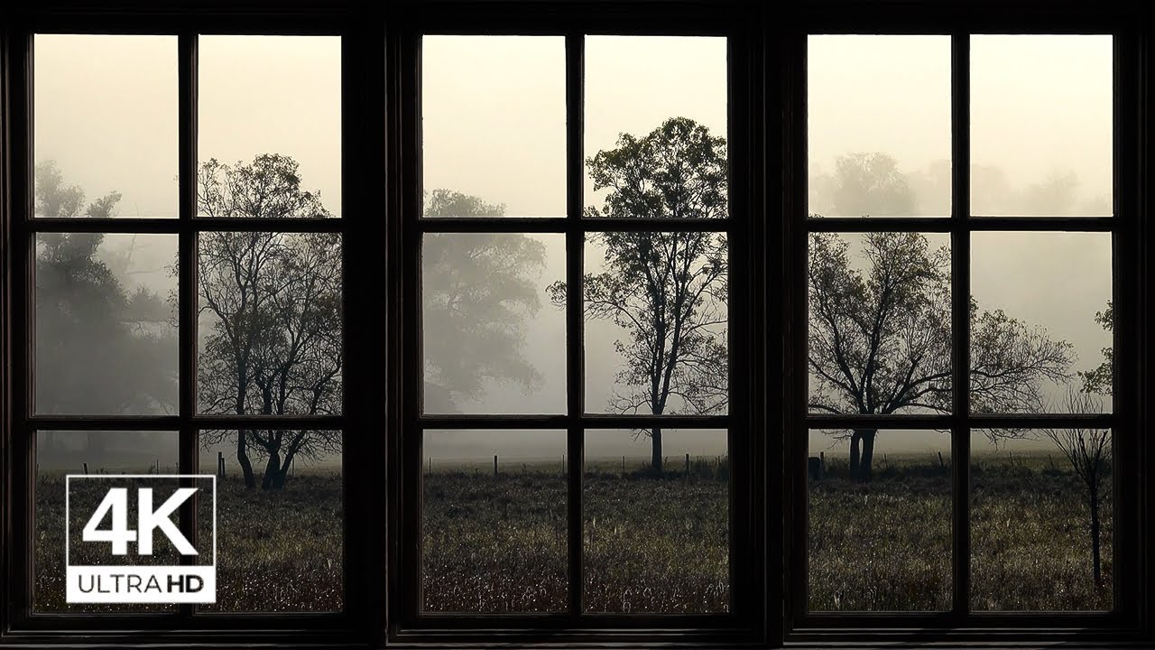 4K Cozy Quiet Autumn Morning Window View - Relaxing, Calming, Ambience 8 hours(ASMR)