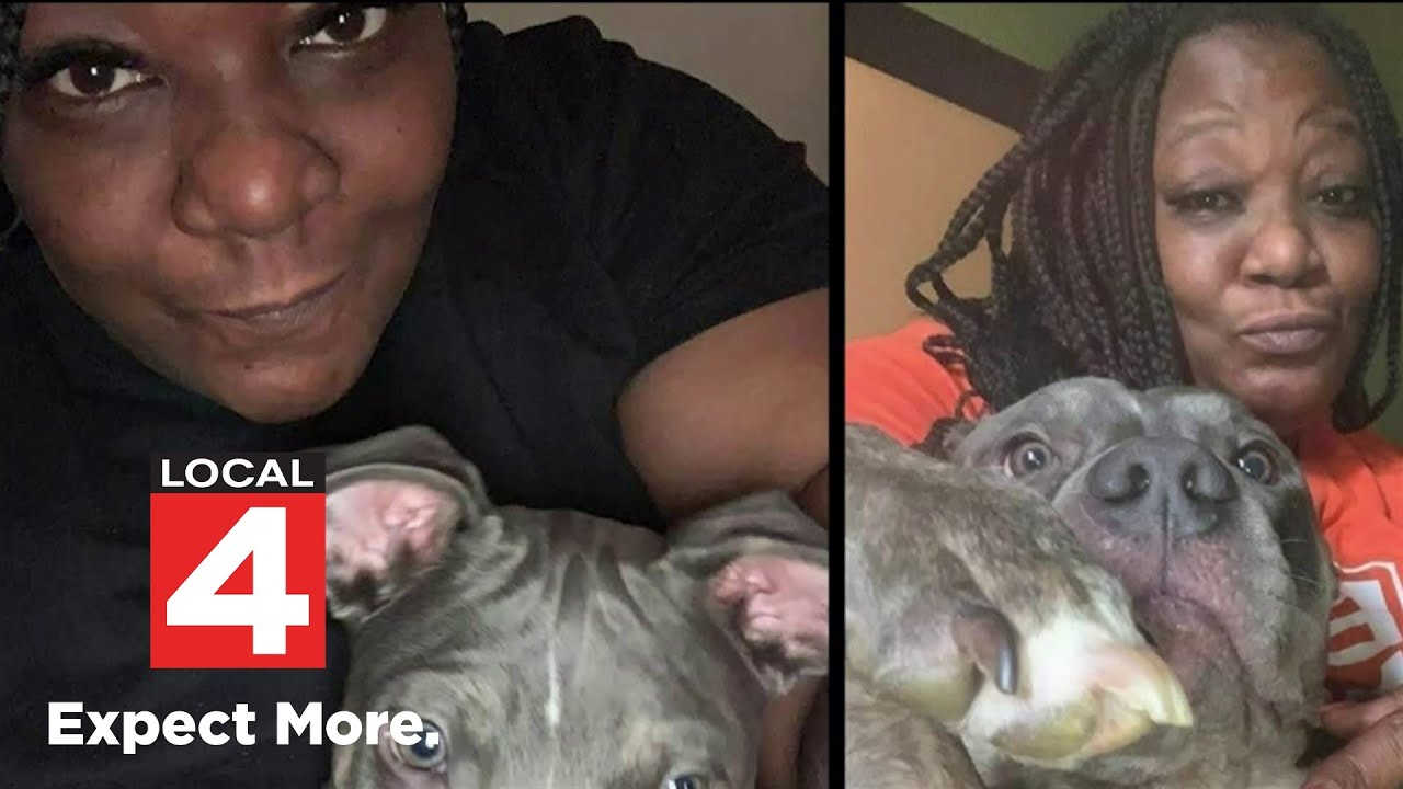 Detroit dog owner seeks answers after emotional support dog shot by police in backyard
