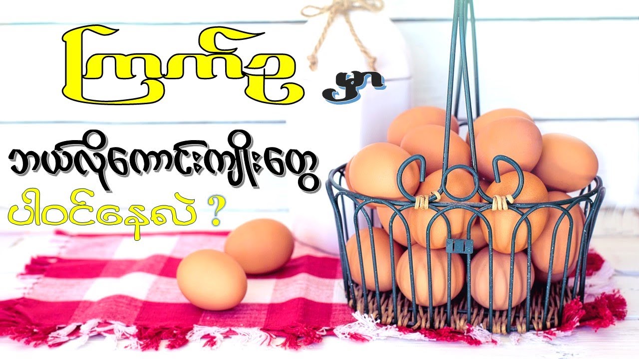 ကြက်ဥ စားသုံးခြင်းကနေရရှိနိုင်တဲ့ ကျန်းမာရေးအကျိုးကျေးဇူး (၁၁) မျိုး  I  Health Benefits of Egg