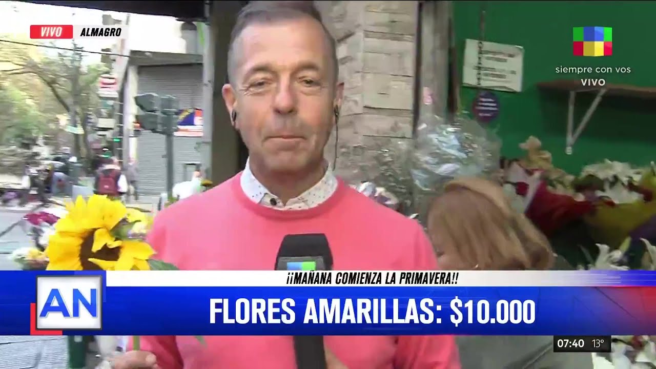 💐 Los precios de las flores para el Día de la Primavera: ¿Qué se puede regalar?