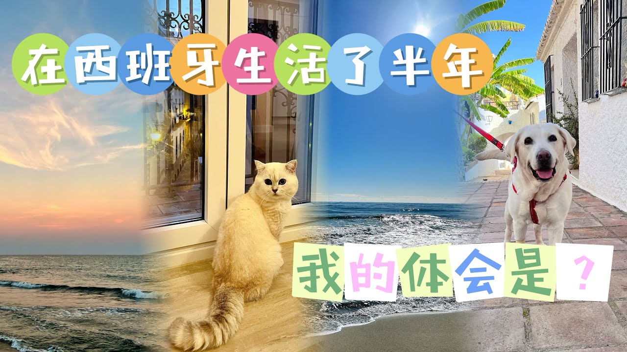 移民西班牙是个好选择吗？北京土著夫妻居住马拉加半年后心得分享～选择移民国家，请务必量力而行且谨慎！#移民 #西班牙生活 #西班牙非盈利 #欧洲 #移民海外