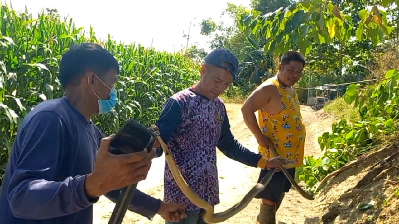MGA COBRA SA CONCEPCION, TARLAC | Part 1 | JTG Kamandag