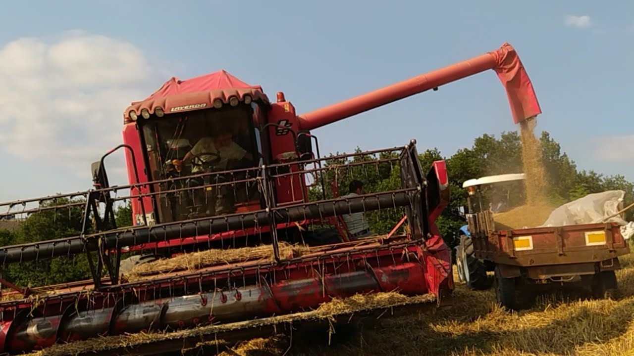 NEWHOLLAND 21.50LXE LEVARDA BİÇERDÖVERLE HASAT YAPIYORUZ