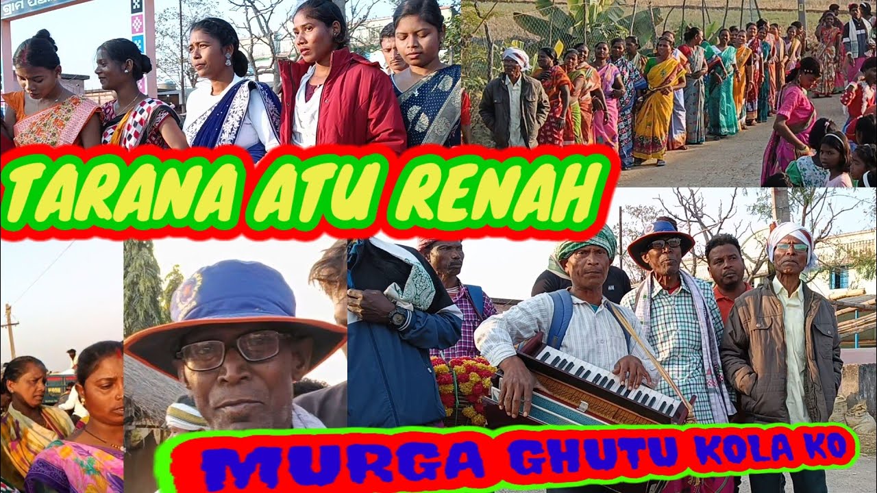 17/1/2025 Murga ghutu kola Tarana atu ched leka jomkaw lenah  