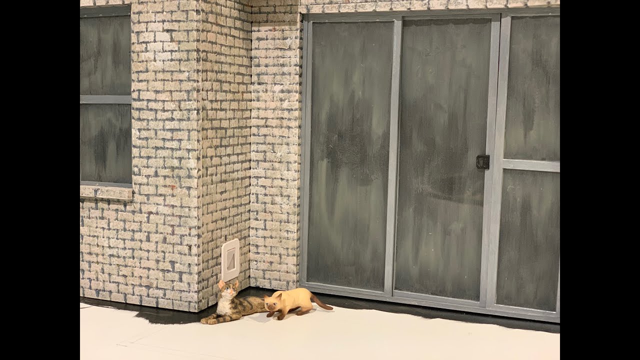 Escape from the Catio Doors and Windows